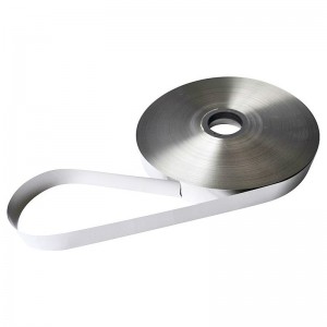 Fe-Based 1K107 Nanocrystalline Ribbon