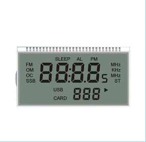Segment LCD
