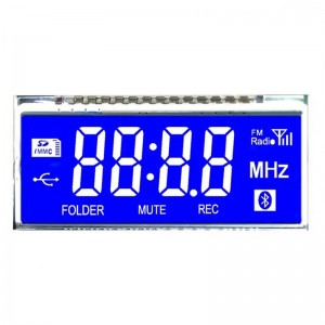 Segment LCD Display TN/HTN/FSTN for Smart Meter