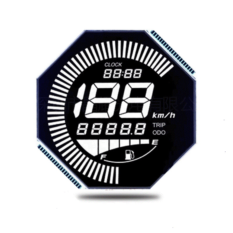 Segment LCD Display TNHTNFSTN for Smart Meter (1)