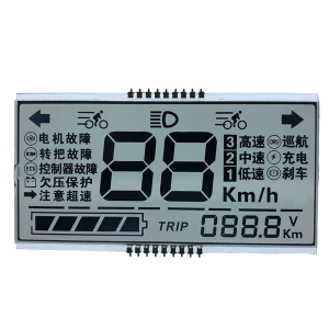 Segment LCD Display TN/HTN/FSTN for Smart Meter