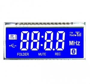 segment LCD 1